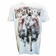 画像1: 【B品】The Ring　ヴィンテージ仕様Tシャツ　Singer (1)