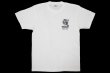 画像1: BULL TERRIER Tシャツ JAPAN 白 (1)